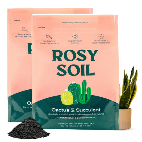 Rosy Soil pack-2 cactus-succulent mix supports easy indoor planting and healthy roots.