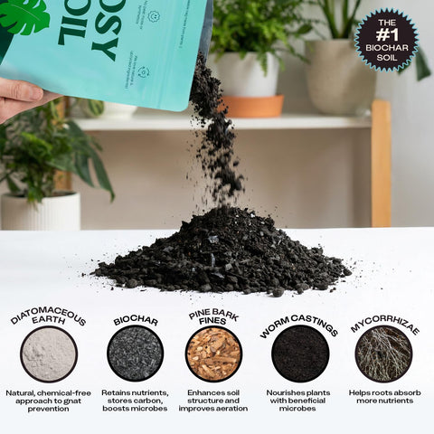 Rosy Soil being poured into a planter demonstrates easy planting.