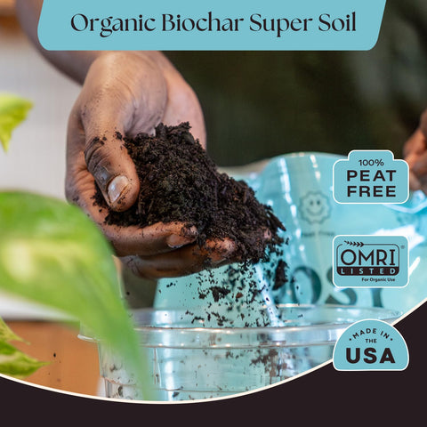 Rosy Soil root-boost-biochar demonstrates stronger root systems for healthier plants.