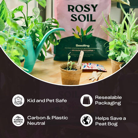Rosy Soil seed-starting-tray packaging demonstrates eco-friendly storage.