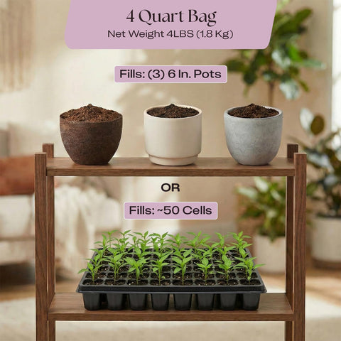 Rosy Soil seed-starting-tray setup demonstrates easy-to-use propagation foundation.