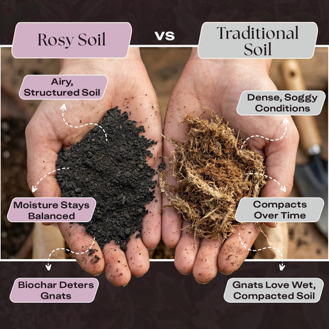 Rosy Soil worm castings biochar mix image conveys nutrient-rich base for seedlings.