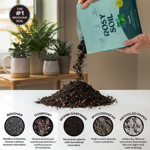 Worm castings and microbes in Rosy Soil boost nutrient access