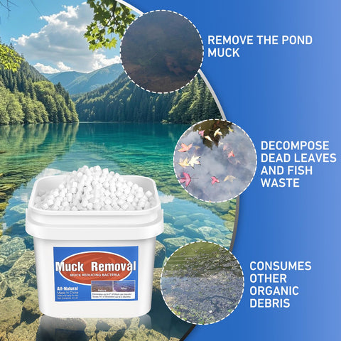 ROTIAH oxygenates pond water for improved clarity and balance