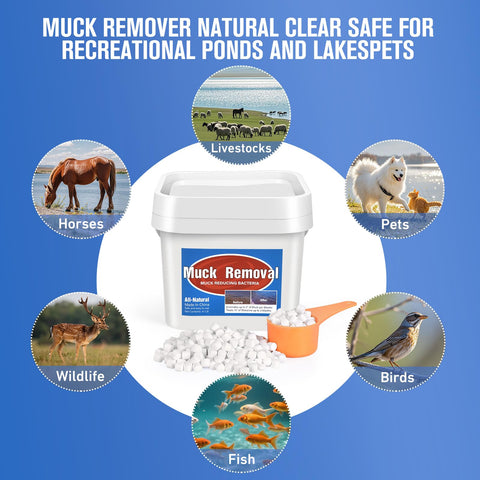 ROTIAH water clarification promotes clearer pond water