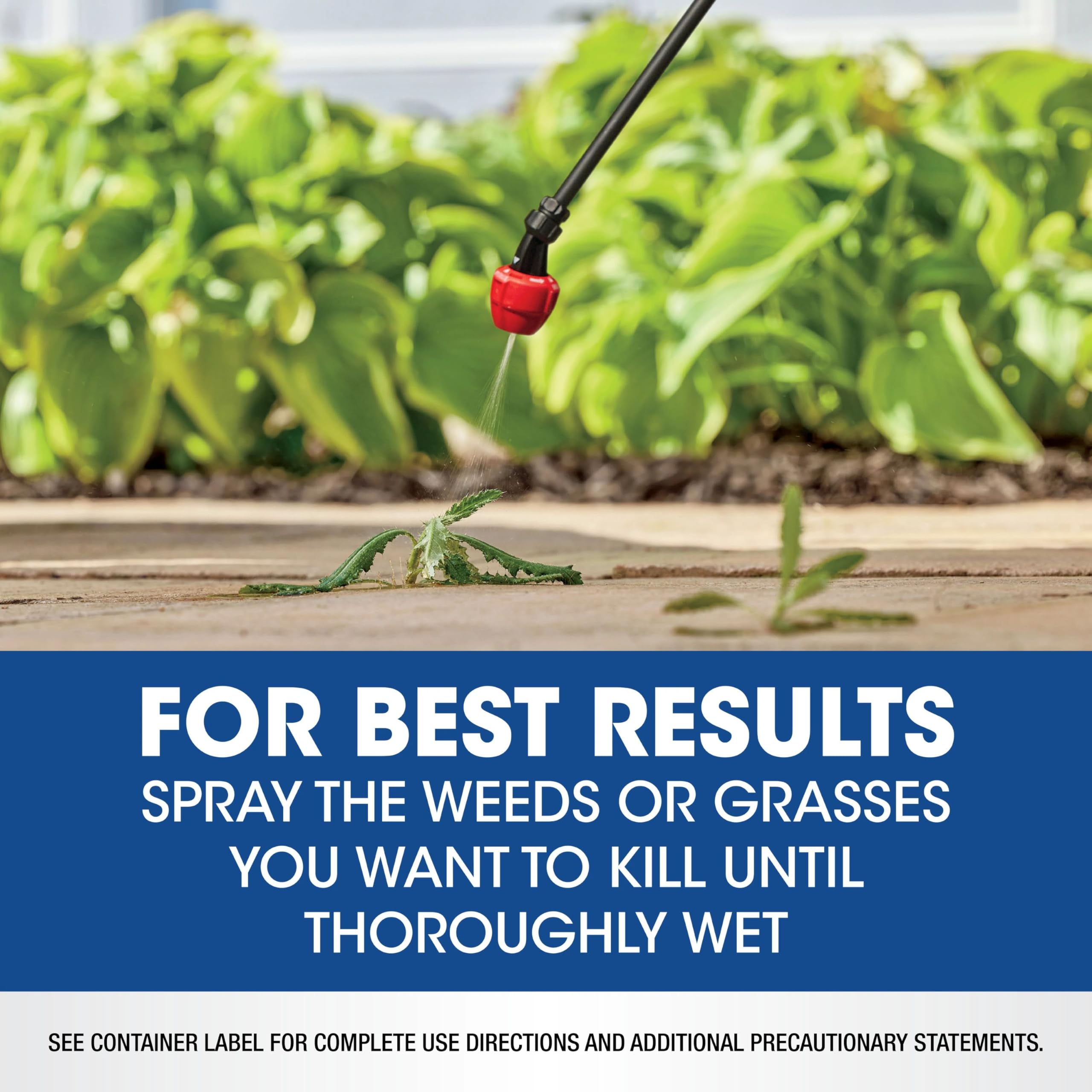 Roundup application in flower beds for weed control