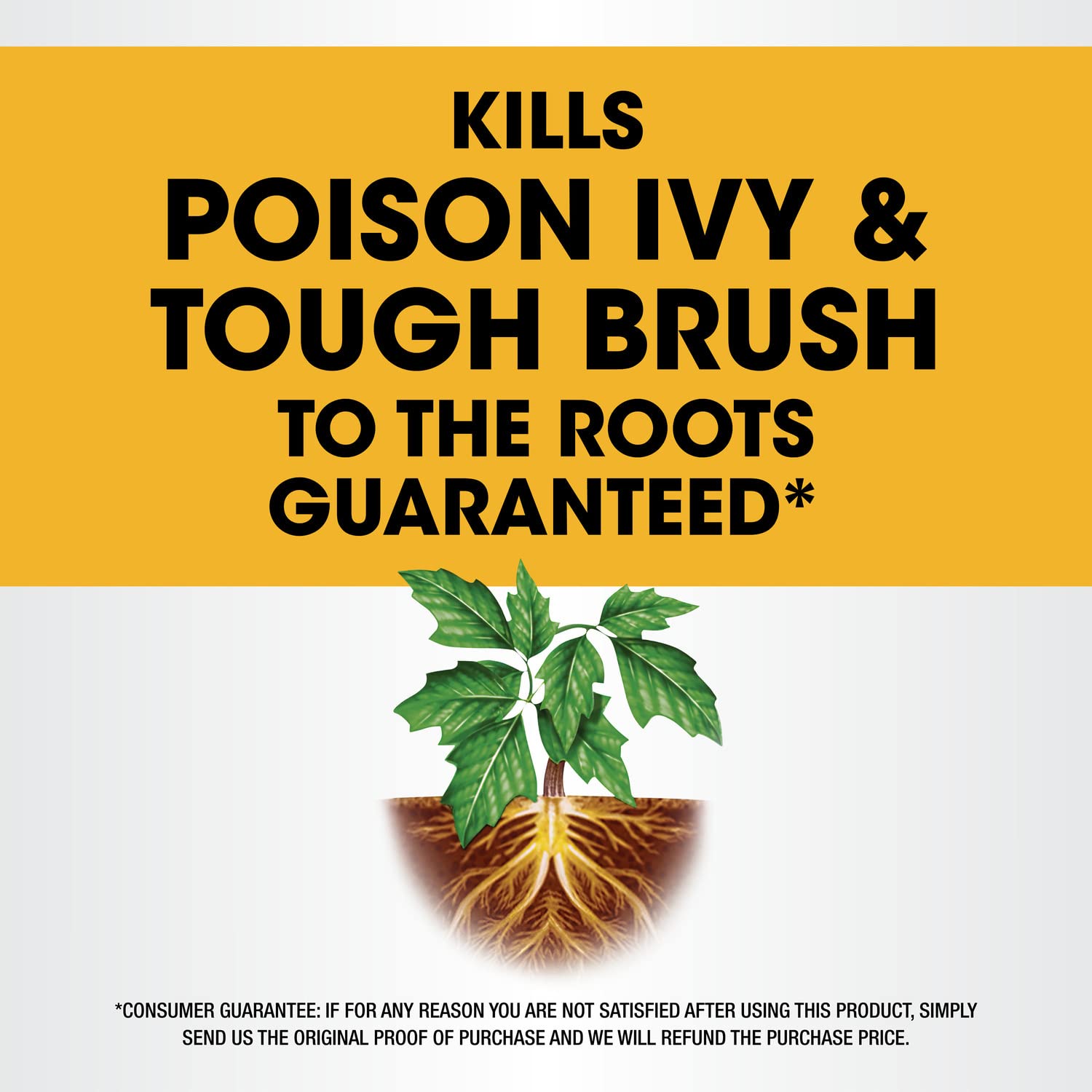 Roundup Concentrate measuring six ounces for mixing.
