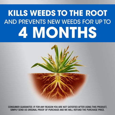 Roundup Dual Action covers up to 1,600 sq ft for broad area control