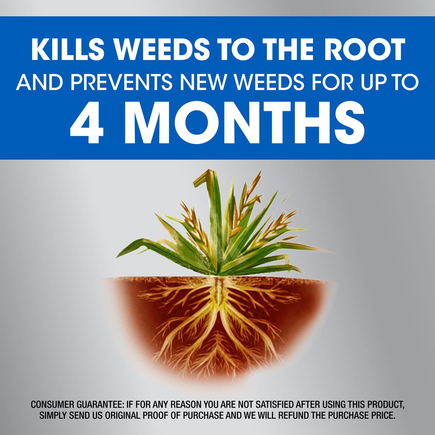 Roundup Dual Action mulched bed treatment clears weed emergence around shrubs.