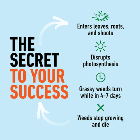 Roundup for Lawns Crabgrass Destroyer2 applied during active weed growth for best results.
