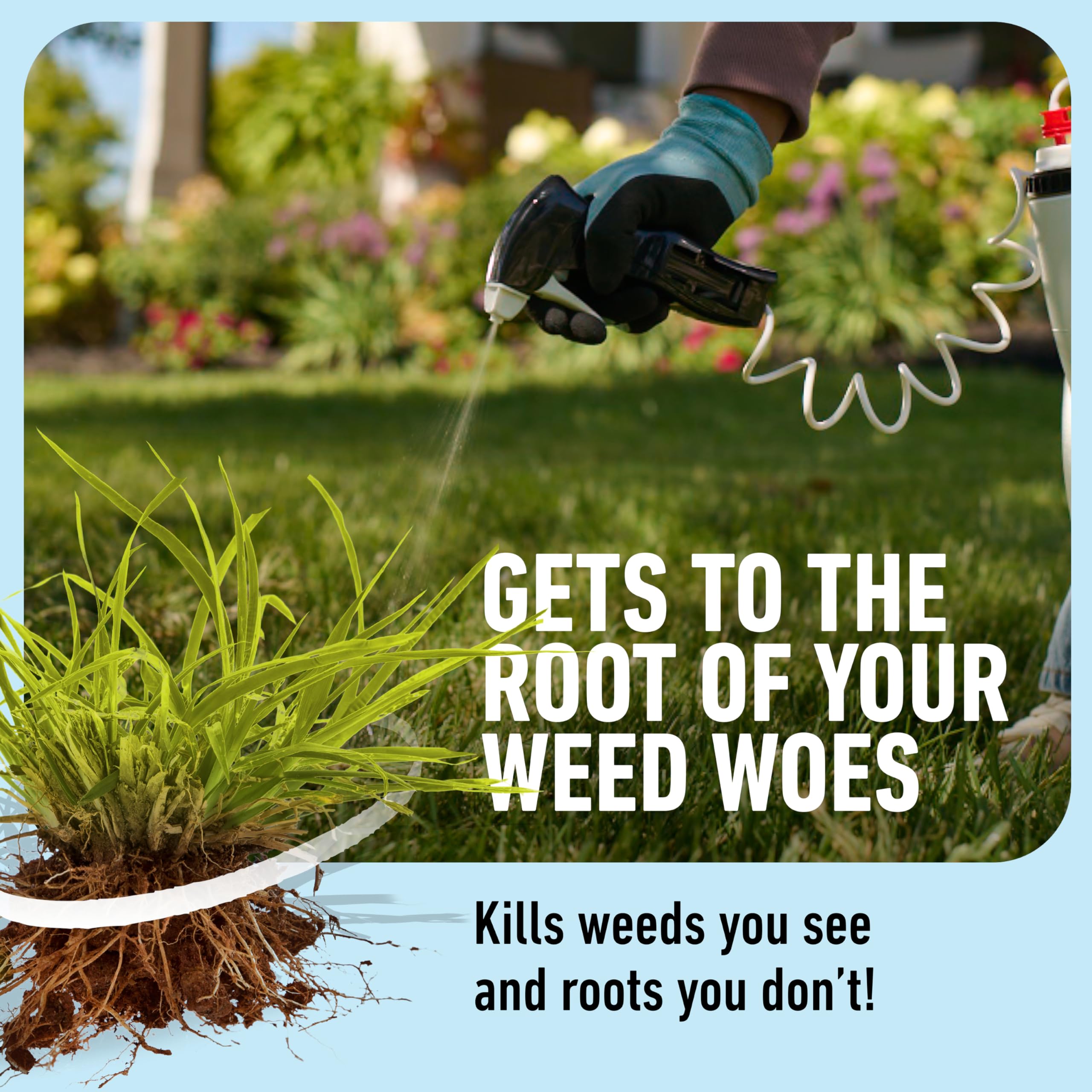Roundup for Lawns Crabgrass Destroyer2 kills crabgrass and grassy weeds at the root.