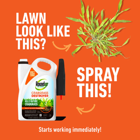Roundup for Lawns Crabgrass Destroyer2 label closeup highlighting the 64 oz container.