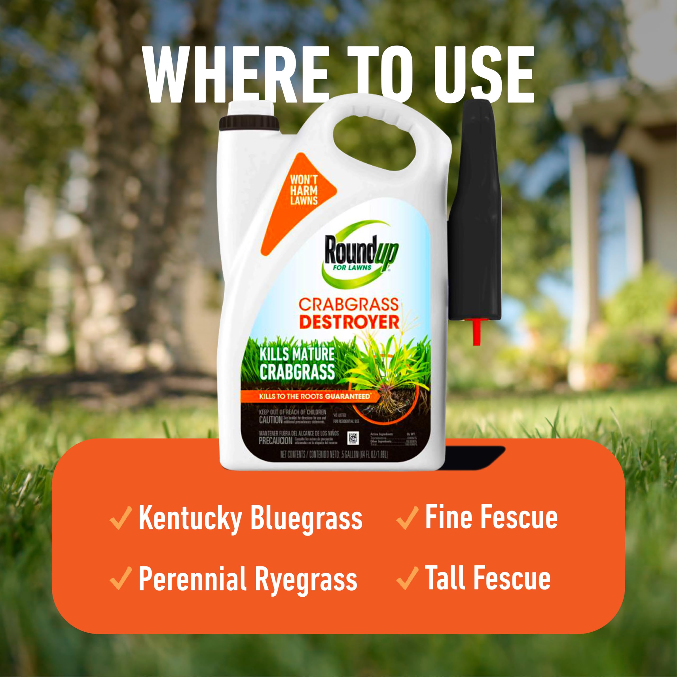 Roundup for Lawns Crabgrass Destroyer2 applied on turf to help reduce grassy weed spread.