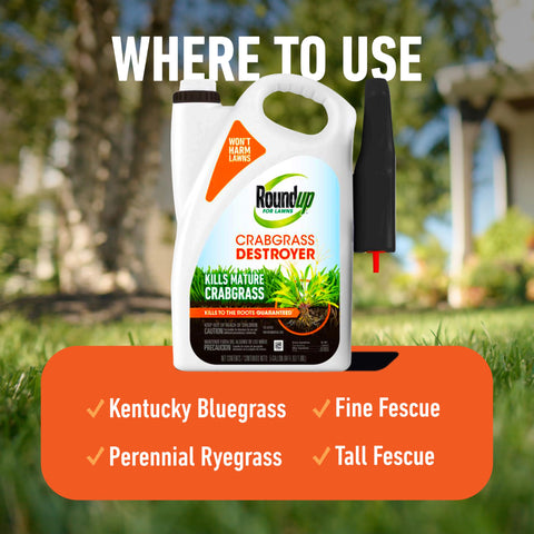 Roundup for Lawns Crabgrass Destroyer2 applied on turf to help reduce grassy weed spread.