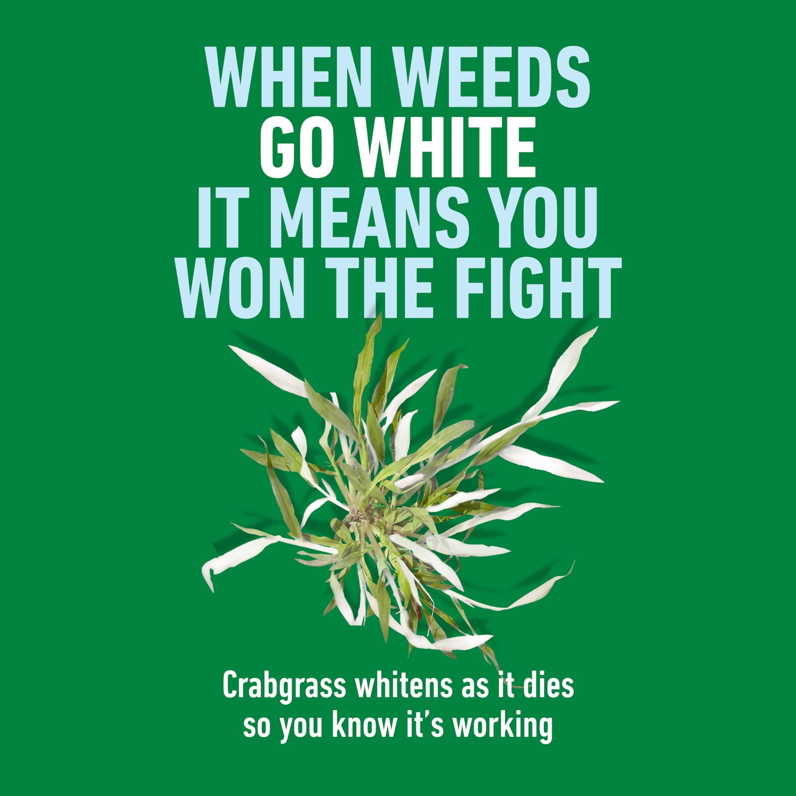 Roundup for Lawns Crabgrass Destroyer2 ready-to-use bottle shown on lawn edge.