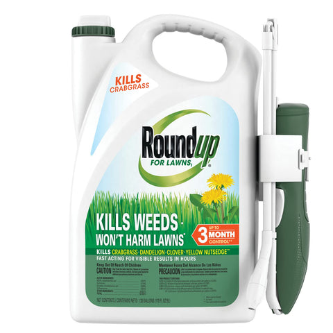 Roundup For Lawns₁ Extend Wand in action for precise weed control on northern grasses.