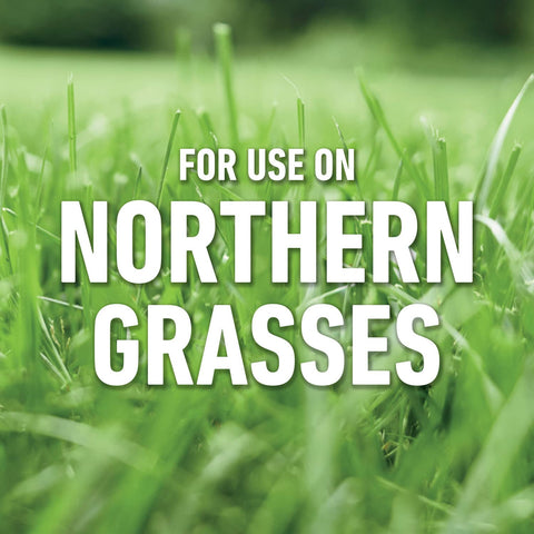 Roundup For Lawns₁ kills the root for lasting results.