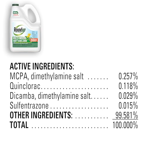 Roundup For Lawns₁ refill pour into bottle for ready-to-use weed control.