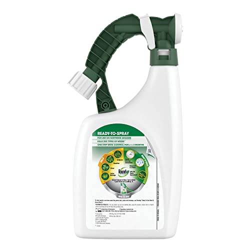 Roundup For Lawns3 applying spray over weeds on a lawn