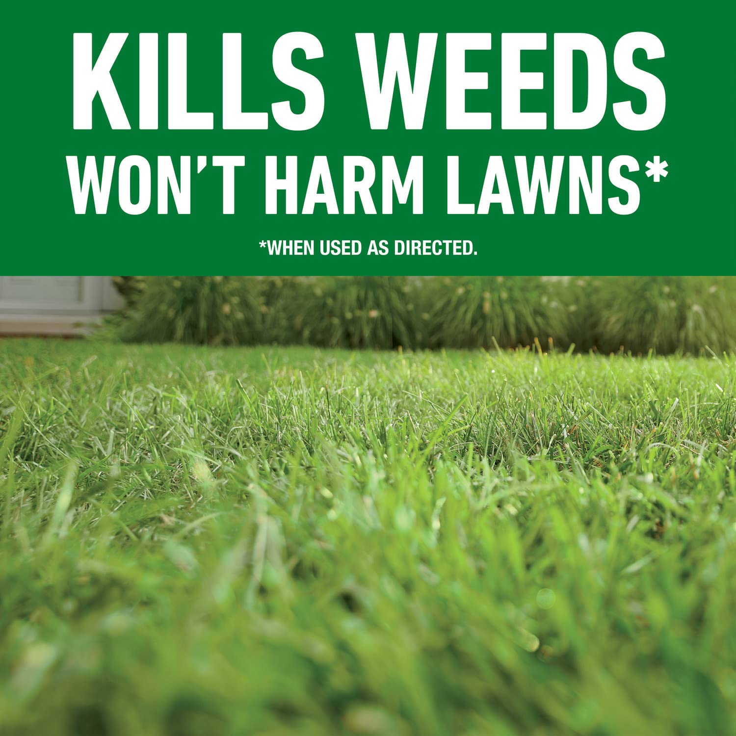 Roundup For Lawns3 healthy Kentucky bluegrass compatible with the product