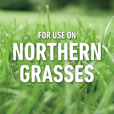 Roundup For Lawns3 immediate-action spray on actively growing weeds.