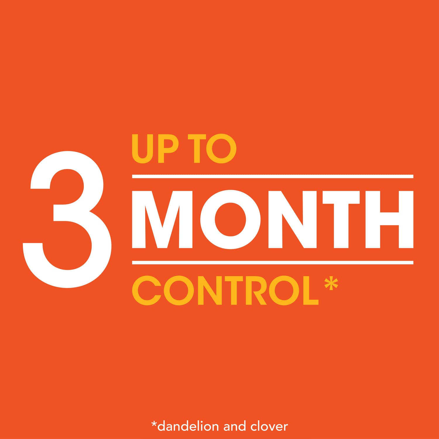 Roundup For Lawns3 compatible with bluegrass, fescue, zoysia, and ryegrass.