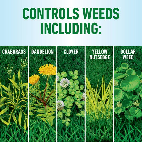 Roundup For Lawns3 rainproof in 3 hours on a treated lawn