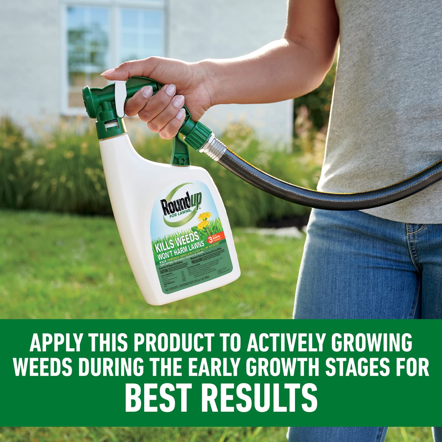 Roundup For Lawns3 two-pack, 32 oz containers ready to use.