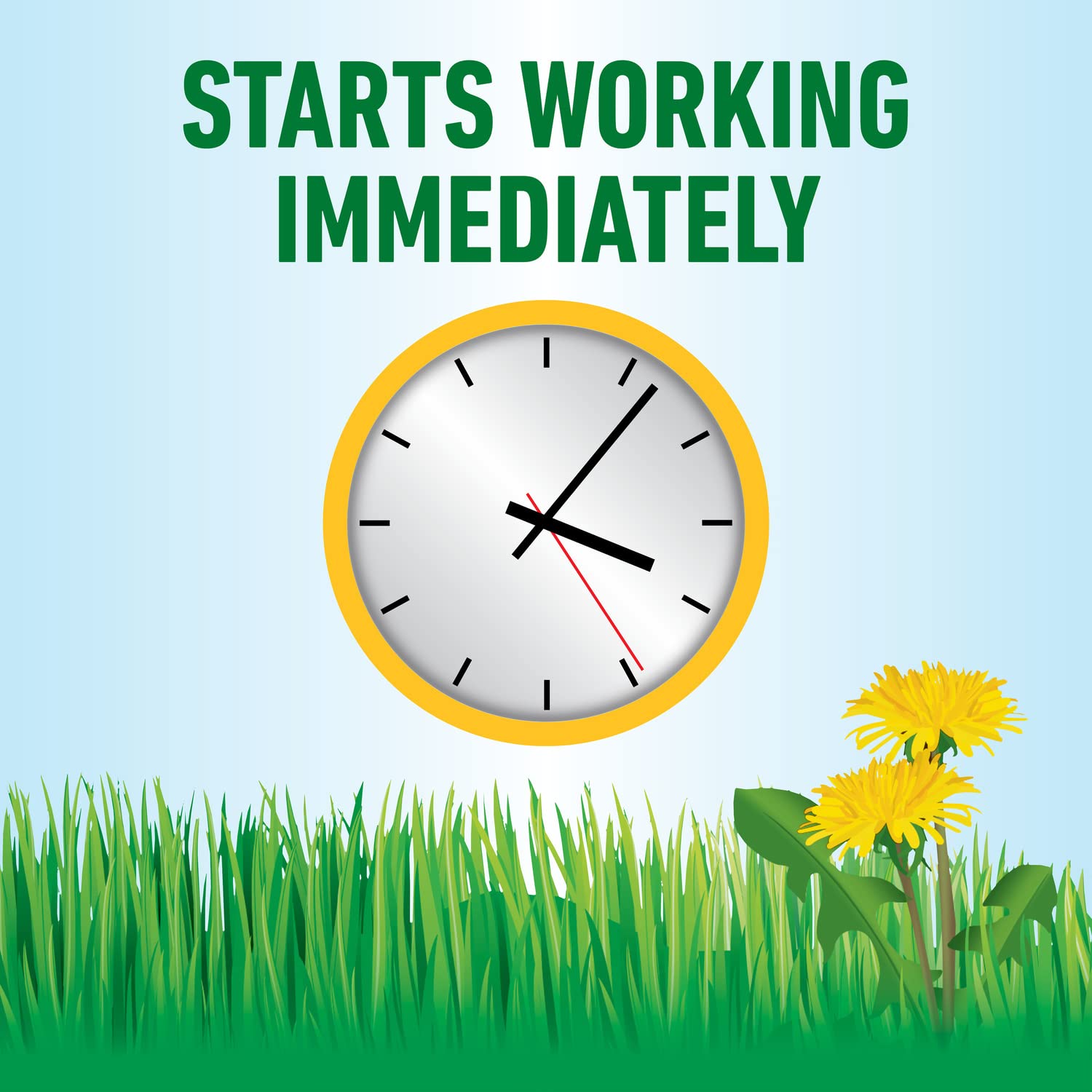 Roundup For Lawns3 booklet lists weed types for informed use.
