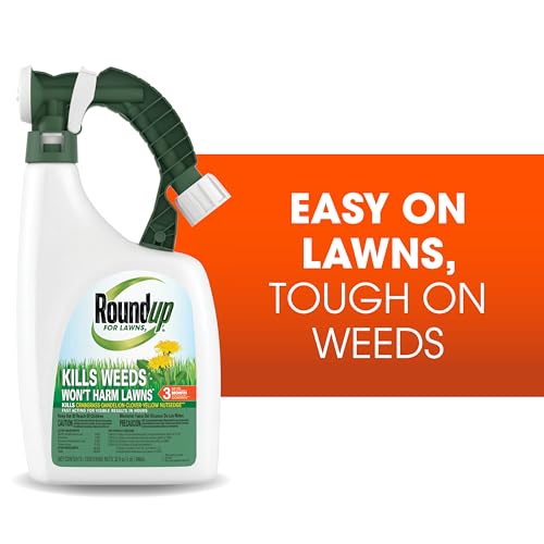 Roundup For Lawns3 weeds close-up illustrating weed root targeting