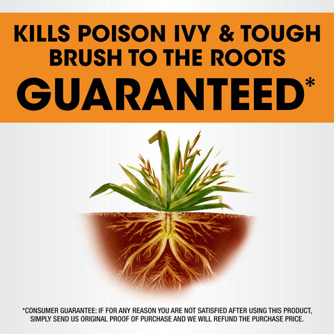 Vines on a tree treated with Roundup Poison Ivy Plus Tough Brush Killer2.