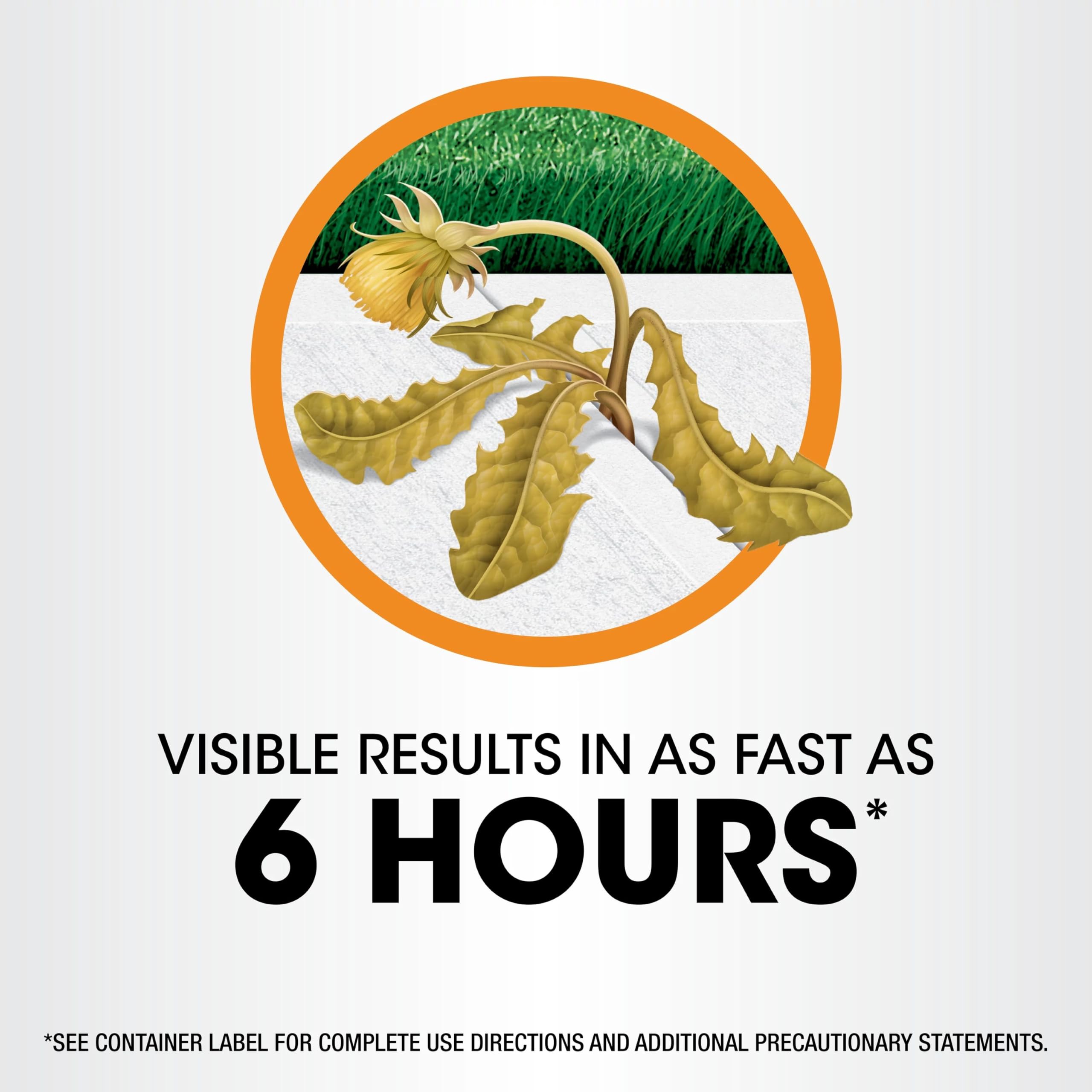 Visible results can appear in hours after Roundup treatment.