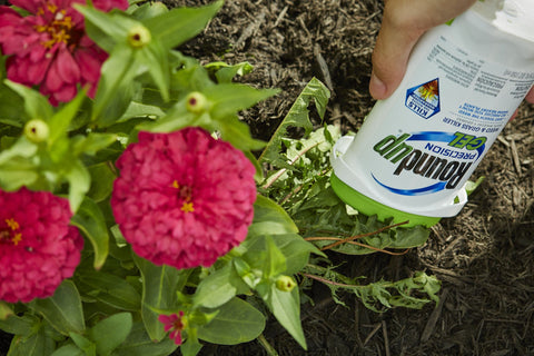 Roundup Precision Gel used along garden bed and driveway for weed control