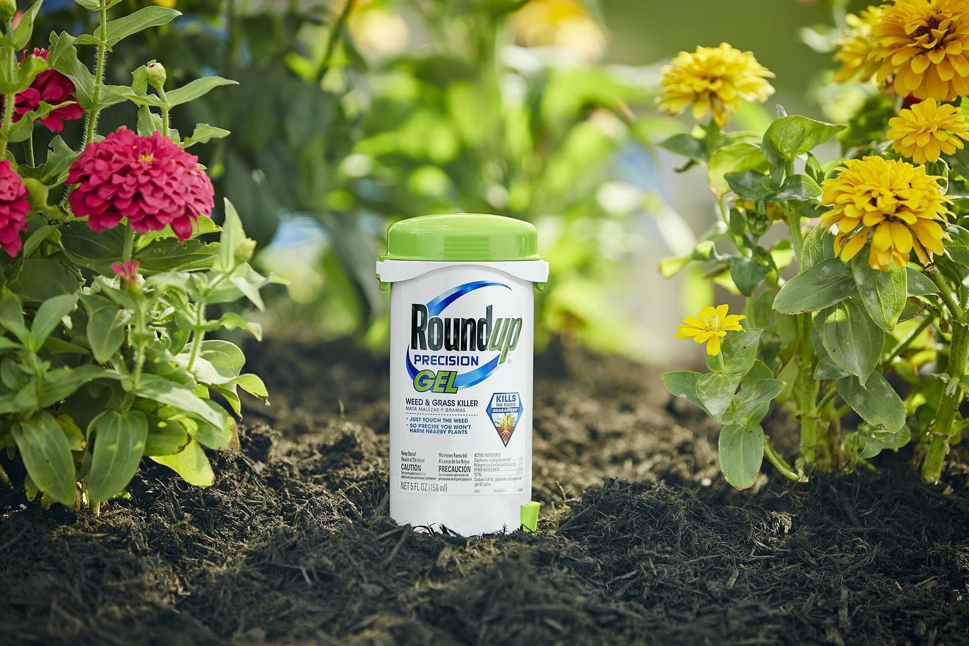 Roundup Precision Gel on weed leaf close-up showing precise application