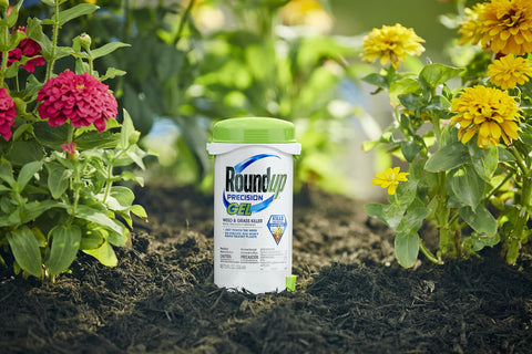 Roundup Precision Gel on weed leaf close-up showing precise application