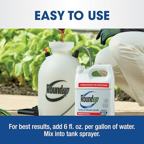 Roundup allows planting 1 to 30 days after treatment in yards.