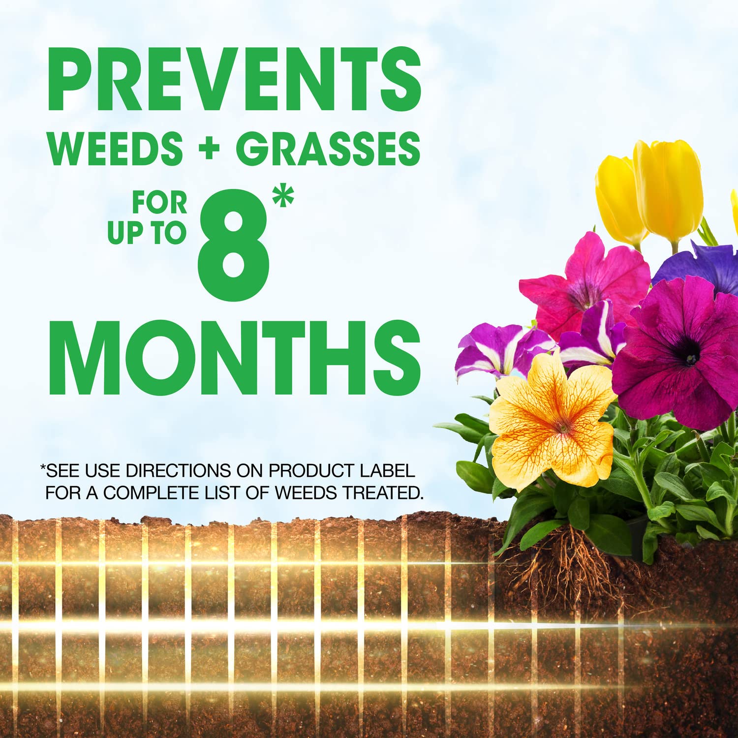 Roundup Weed Barrier Granules near perennials reduce future weeding.