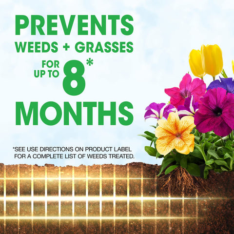Roundup Weed Barrier Granules near perennials reduce future weeding.