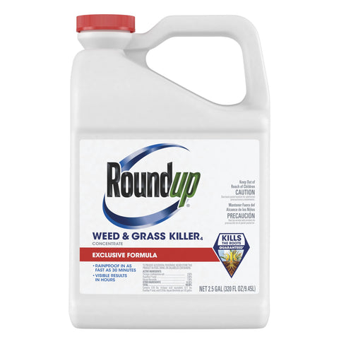 Roundup Weed Killer concentrate bottle ready for root-killing action