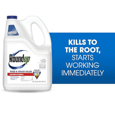 Roundup Weed Killer targets dandelions near flower beds during treatment.