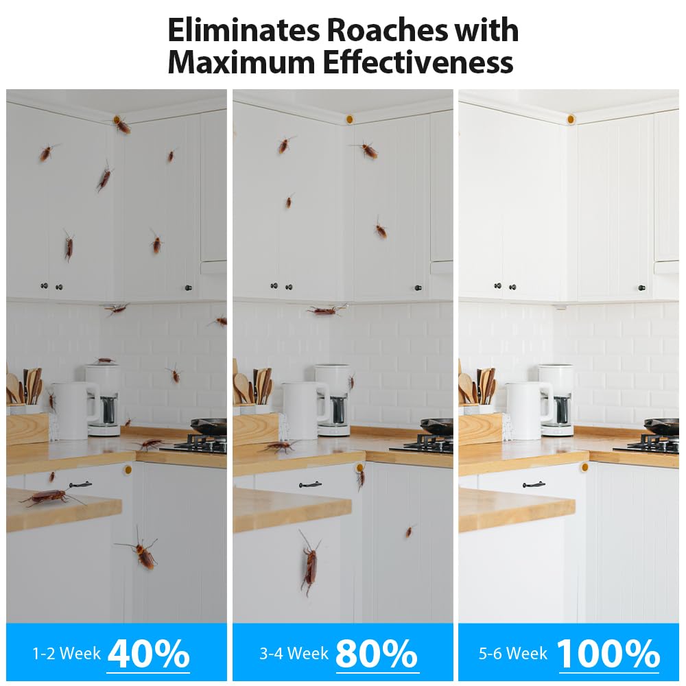 Routade under-sink area placement targets roaches in hard-to-reach spots.