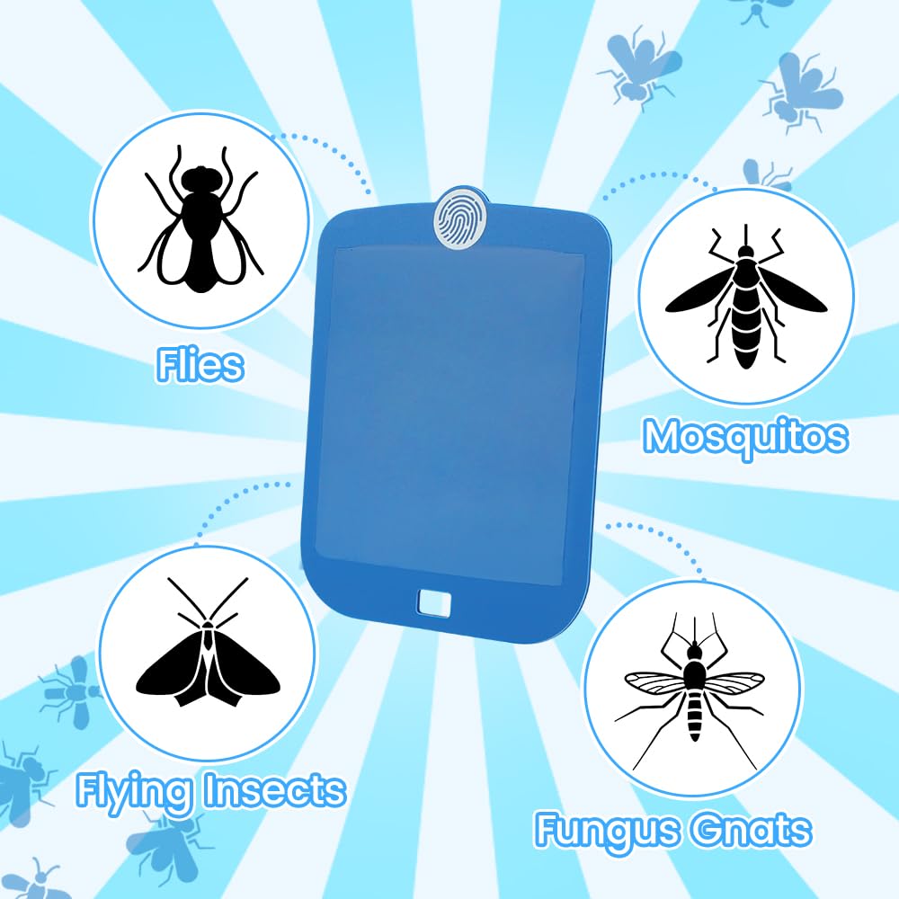 ROUTADE extra sticky glue boards—long-lasting protection for up to 15 days.