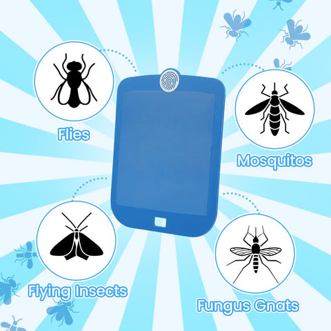 ROUTADE extra sticky glue boards—long-lasting protection for up to 15 days.