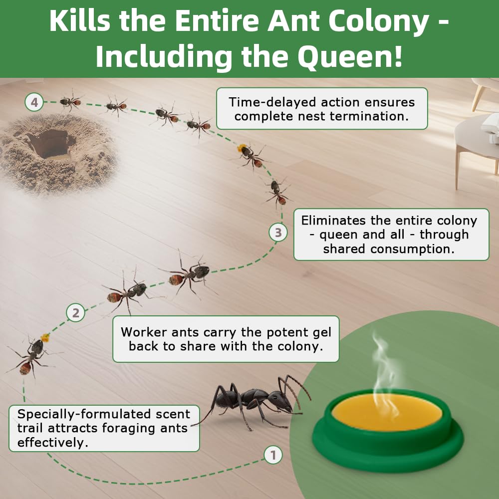 Close-up of ROUTADE gel bait attracting carpenter ants for quick colony impact.