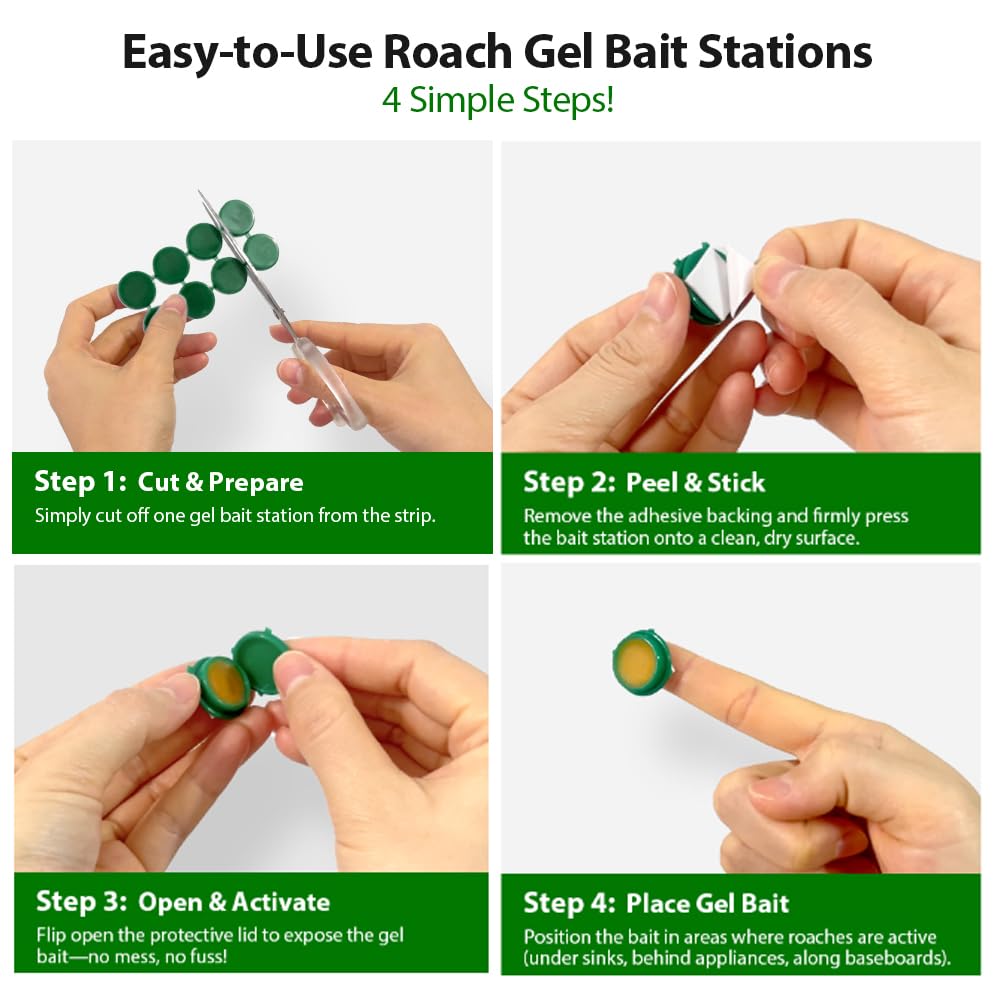 Routeade roach gel bait in kitchen corner placement scenario.