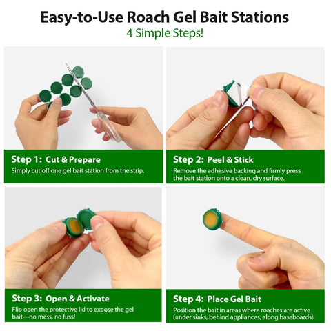 Routeade roach gel bait in kitchen corner placement scenario.