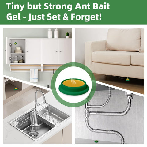 Slow-acting ROUTADE gel bait delivering long-lasting protection against ants.