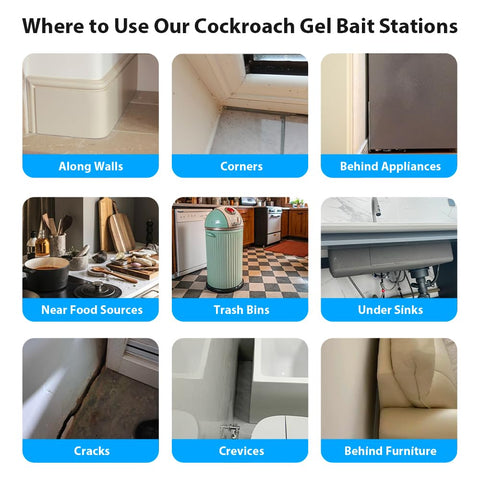 Routeade ready-to-use 48-pack roach kit for homes.