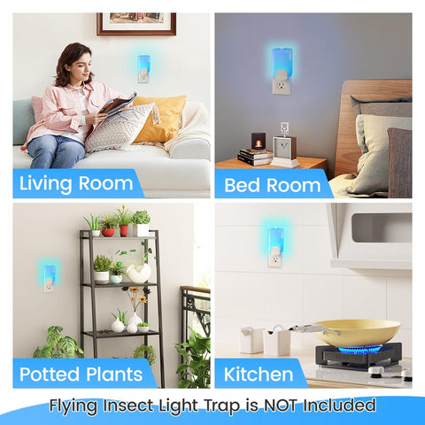 ROUTADE refill set—easy maintenance and ongoing pest protection.