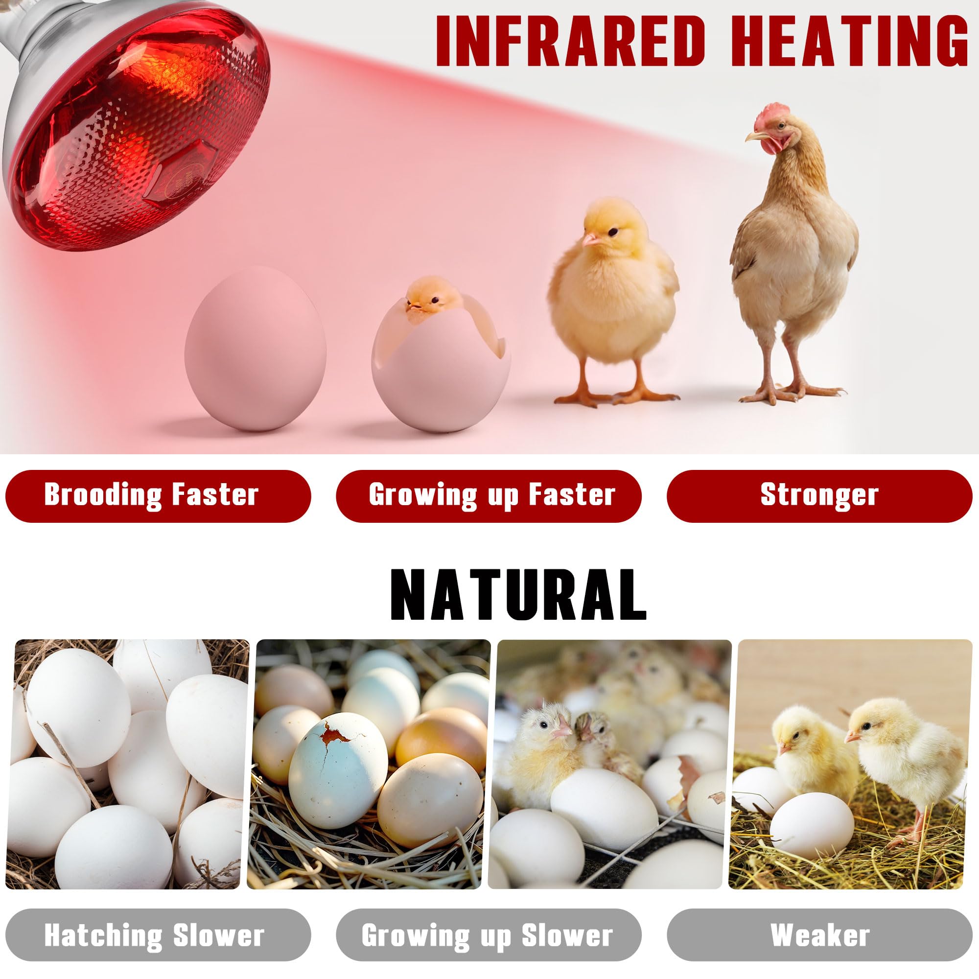 ROVOCLO Heat Lamp offers durable performance with 10,000 hours of use